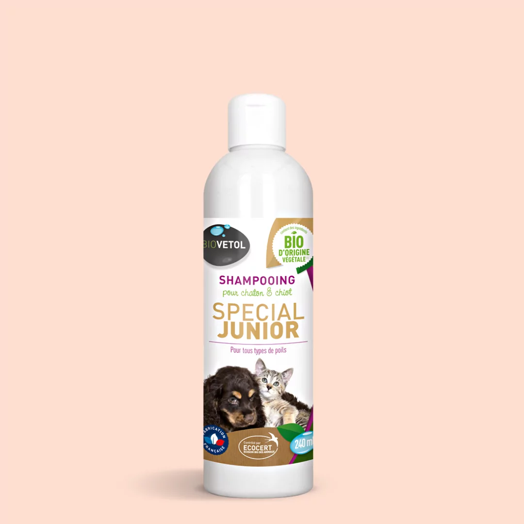 Shampoing junior Bio 240ml 
