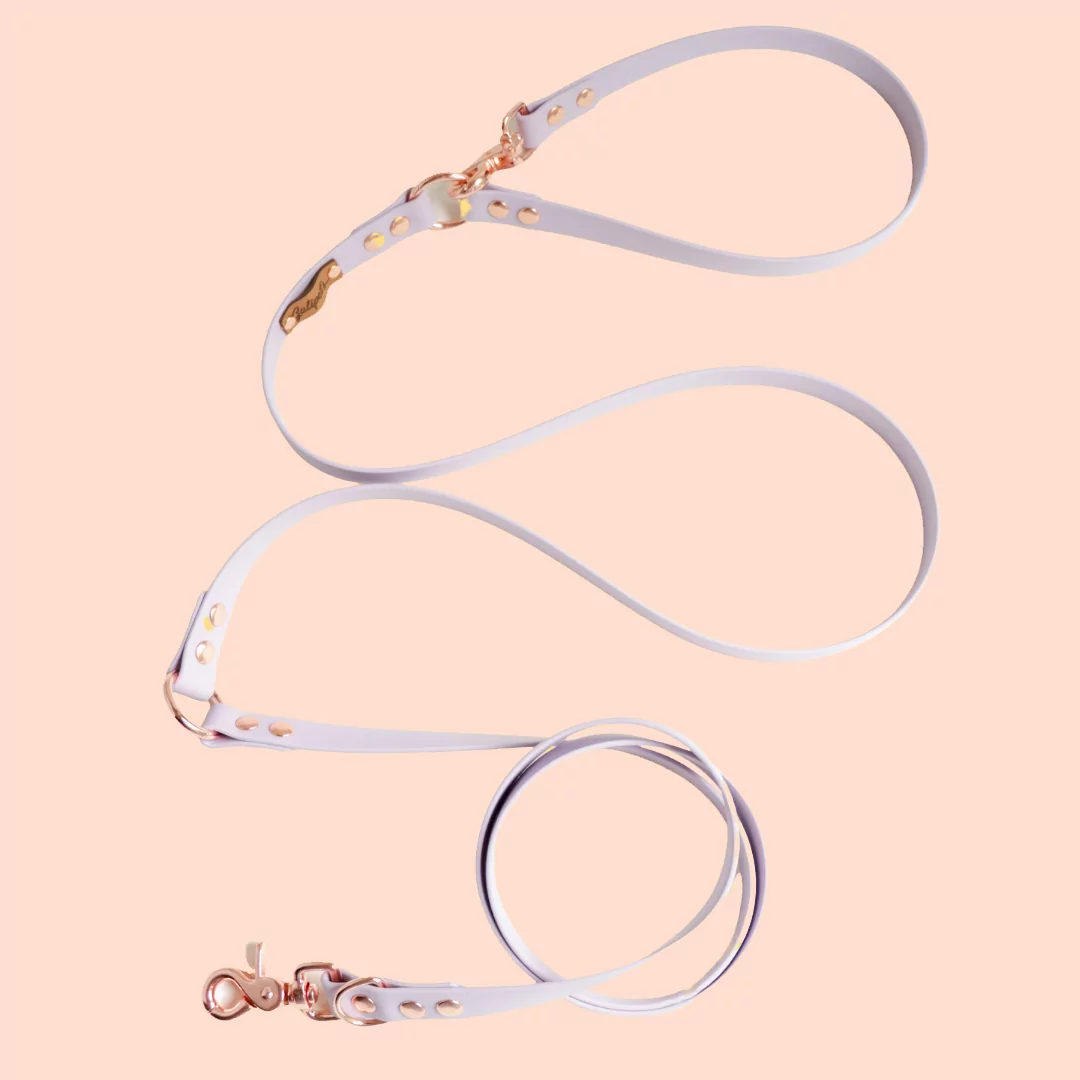 Laisse Parme & Rose SCARLETT multi-positions en Biothane 