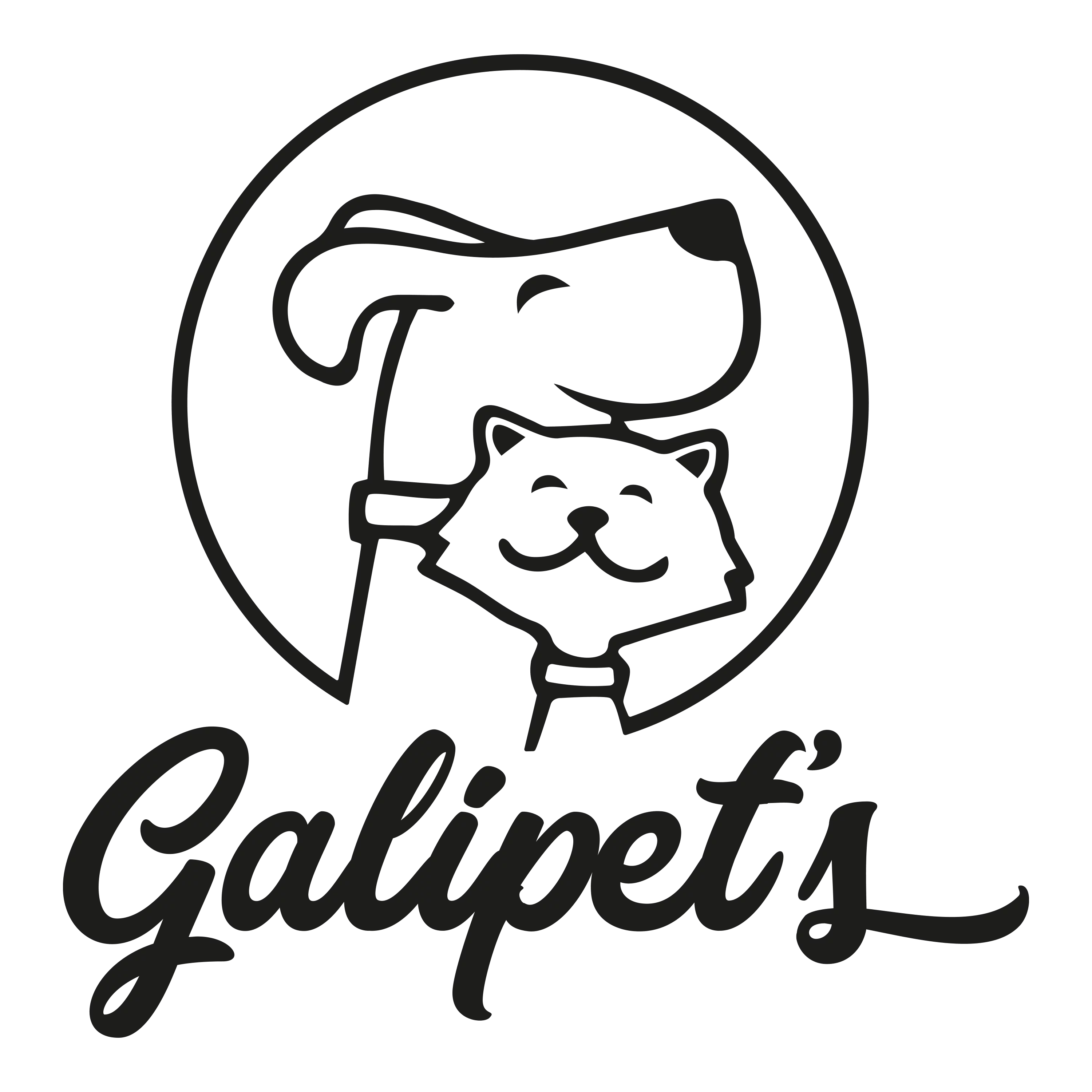 Galipet's