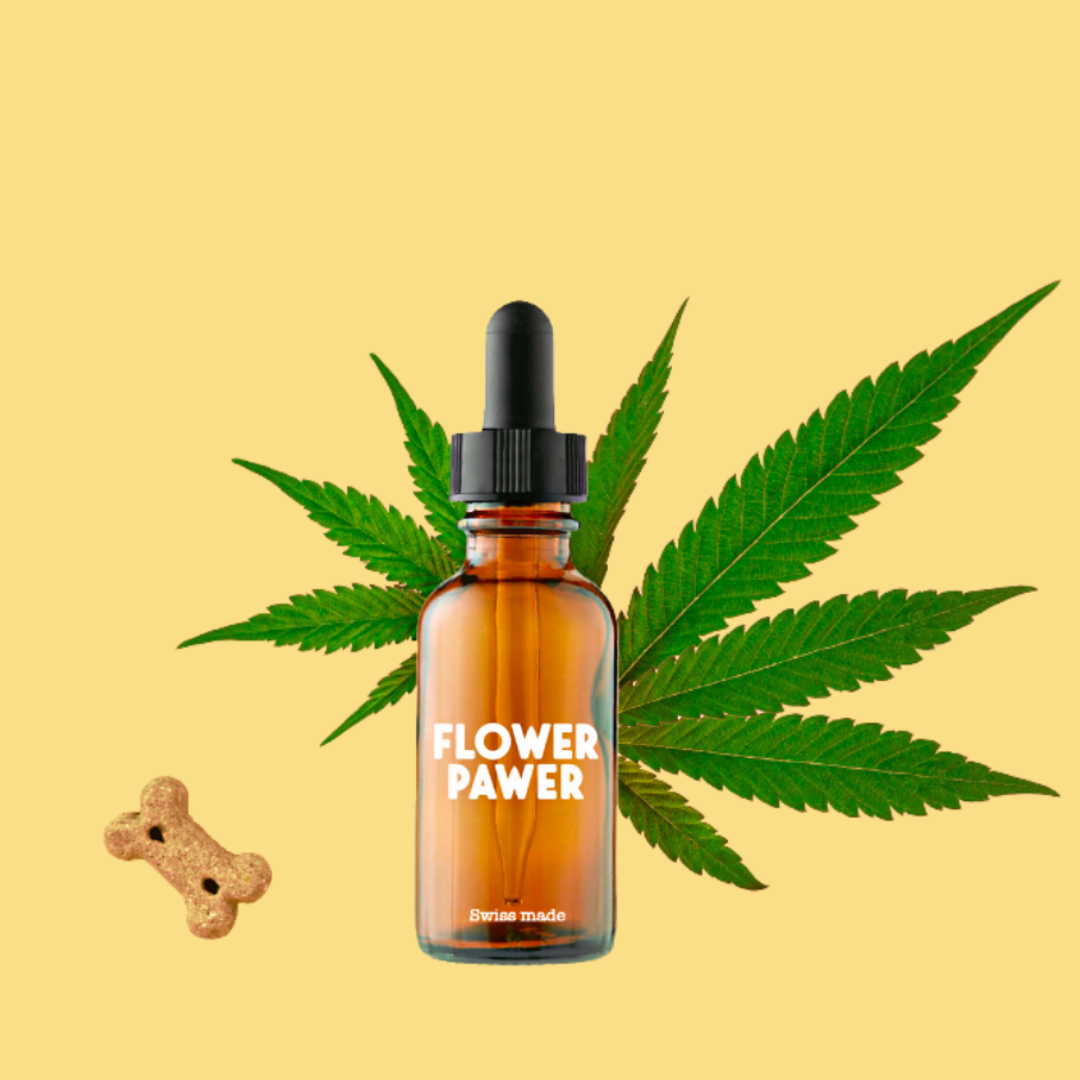 CBD à l'Huile de Chanvre 15ml 